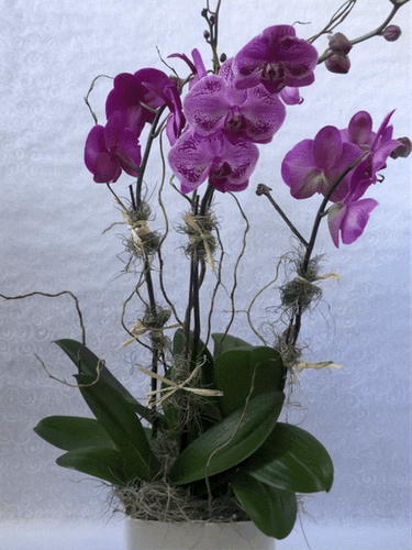 Flower Bouquet ORC 304 at Gilchrist Florist